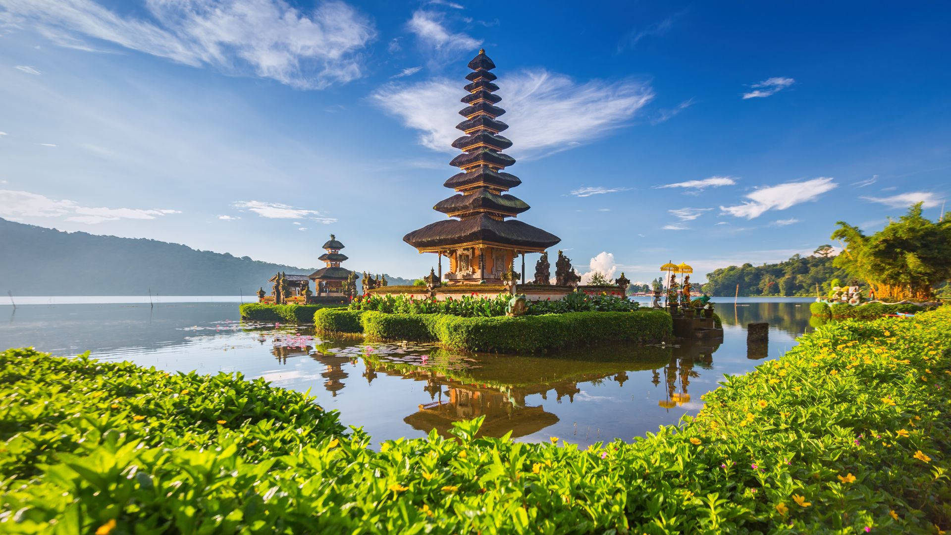 Bali Uncovered: A Dive into Culture and Nature